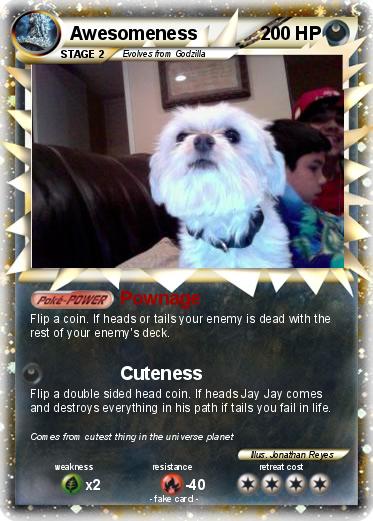 Pokemon Awesomeness Pokemon Awesomeness