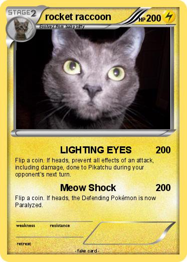 Pokemon rocket raccoon