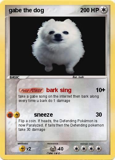 Pokemon gabe the dog