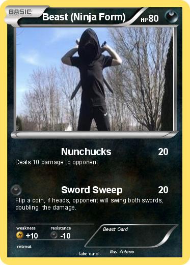 Pokemon Beast (Ninja Form)