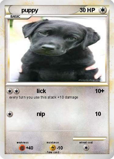Pokemon puppy