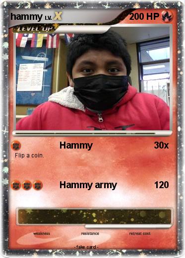 Pokemon hammy