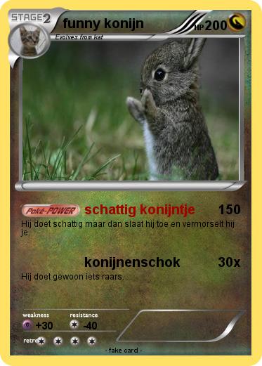 Pokemon funny konijn