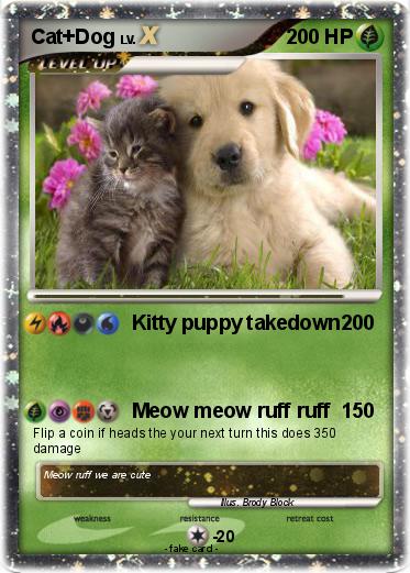 Pokemon Cat+Dog