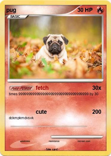 Pokemon pug