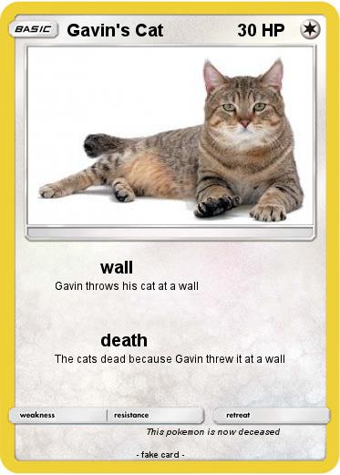 Pokemon Gavin's Cat