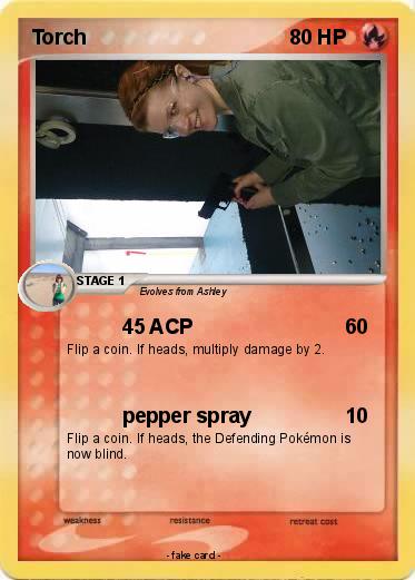 Pokemon Torch