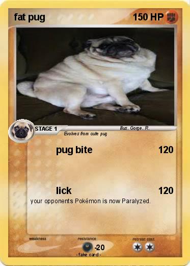 Pokemon fat pug