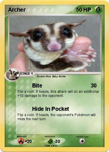 Pokemon Archer