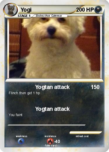 Pokemon Yogi