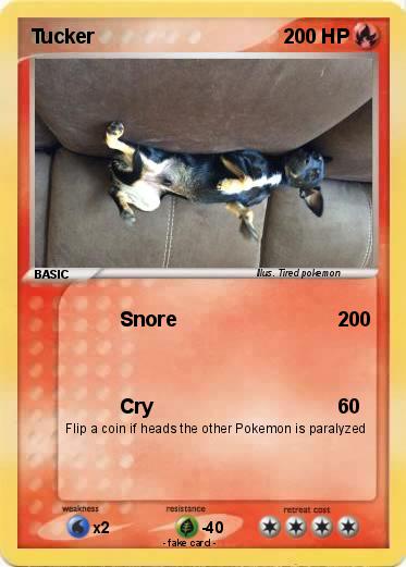 Pokemon Tucker