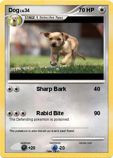 Pokemon Dog