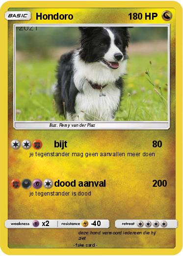 Pokemon Hondoro