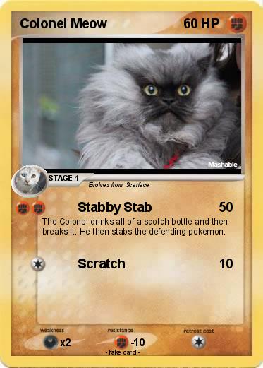 Pokemon Colonel Meow