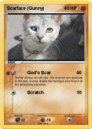 Pokemon Scarface (Gunny)