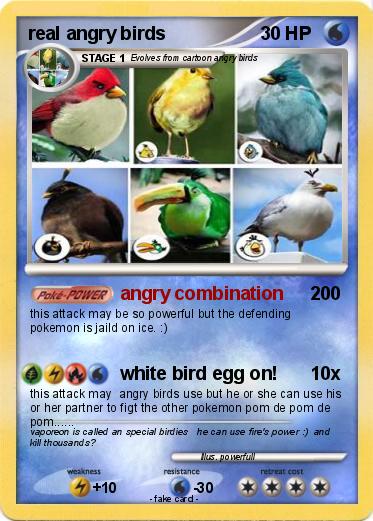 Pokemon real angry birds