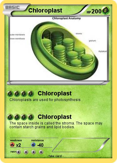 Pokemon Chloroplast