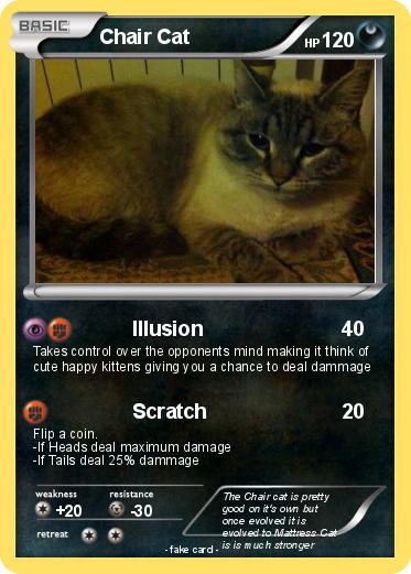 Pokemon Chair Cat