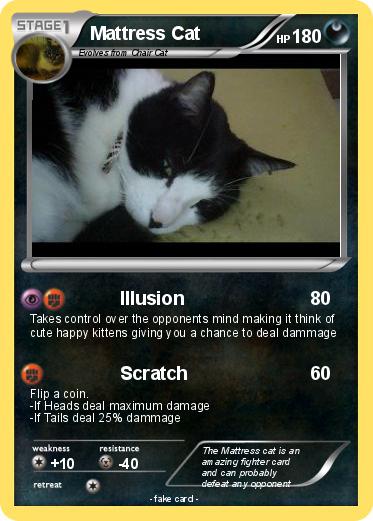 Pokemon Mattress Cat