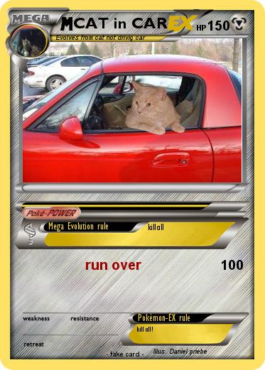 Pokemon CAT in CAR