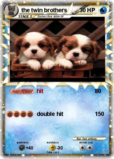Pokemon the twin brothers