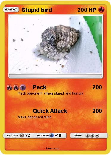 Pokemon Stupid bird