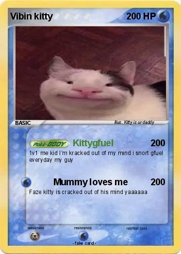 Pokemon Vibin kitty