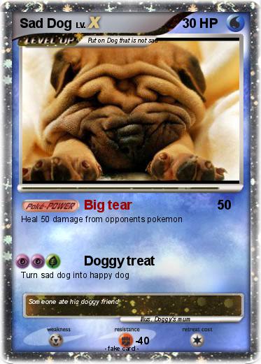 Pokemon Sad Dog