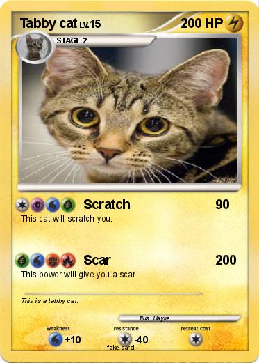 Pokemon Tabby cat