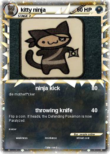 Pokemon kitty ninja