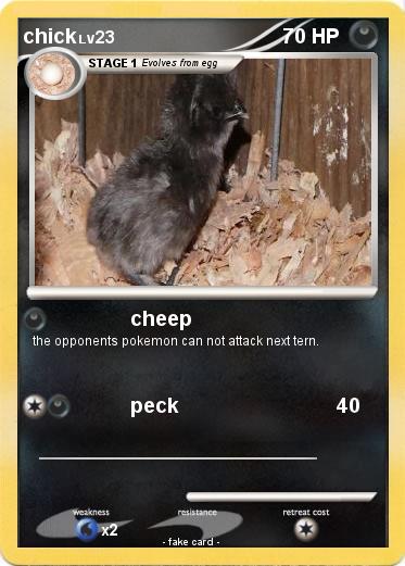 Pokemon chick