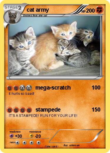 Pokemon cat army