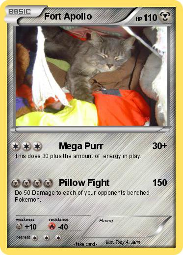 Pokemon Fort Apollo