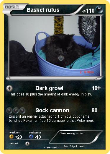 Pokemon Basket rufus