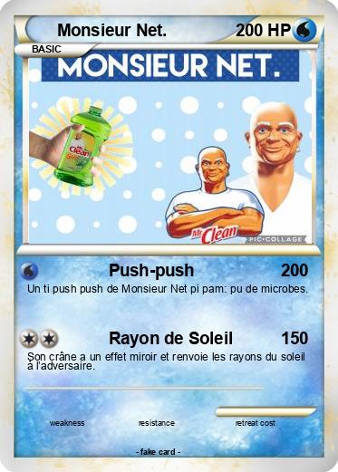 Pokemon Monsieur Net.