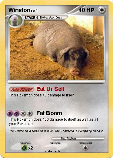 Pokemon Winston