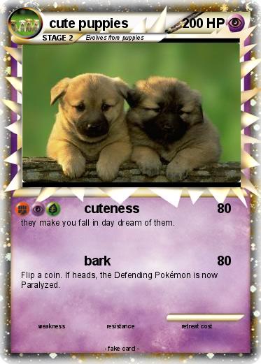 Pokemon cute puppies