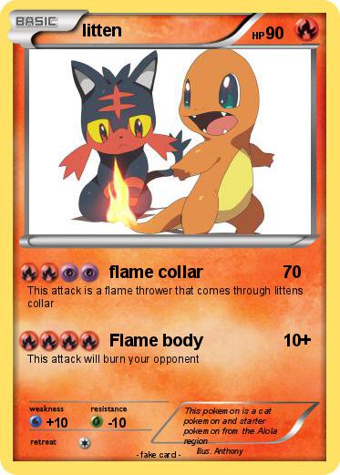 Pokemon litten