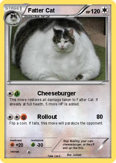 Pokemon Fatter Cat