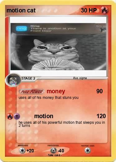 Pokemon motion cat