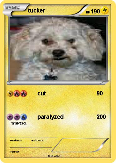 Pokemon tucker