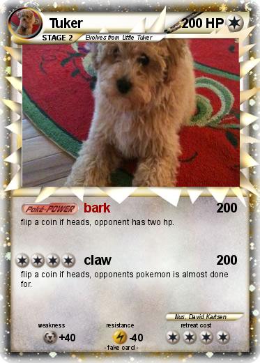 Pokemon Tuker