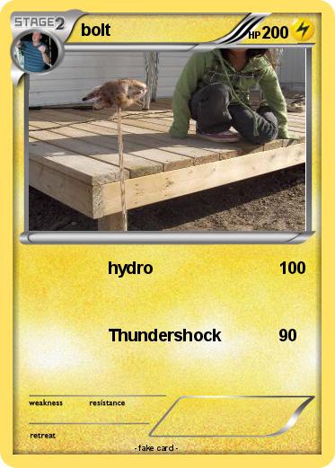 Pokemon bolt