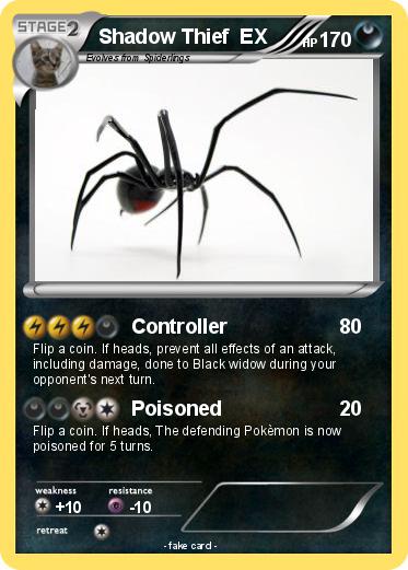 Pokemon Shadow Thief  EX