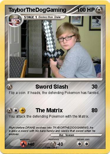 Pokemon TayborTheDogGaming