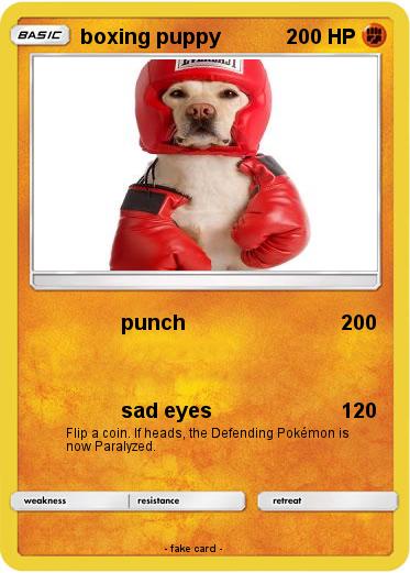 Pokemon boxing puppy