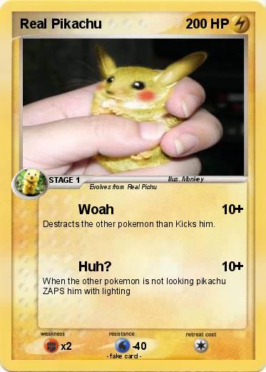 Pokemon Real Pikachu