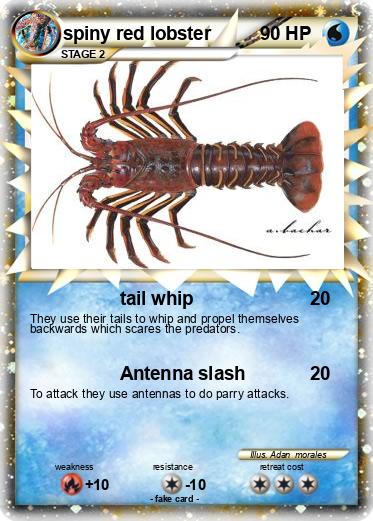 Pokemon spiny red lobster