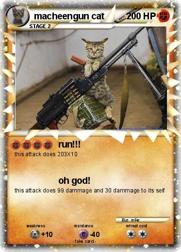 Pokemon macheengun cat