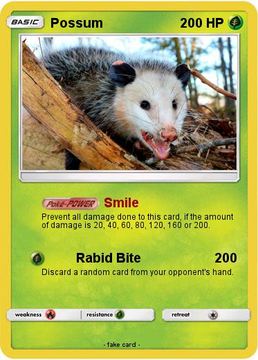 Pokemon Possum